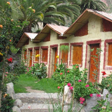 Paraiso Las Palmeras Lodge Cabanaconde Exterior foto