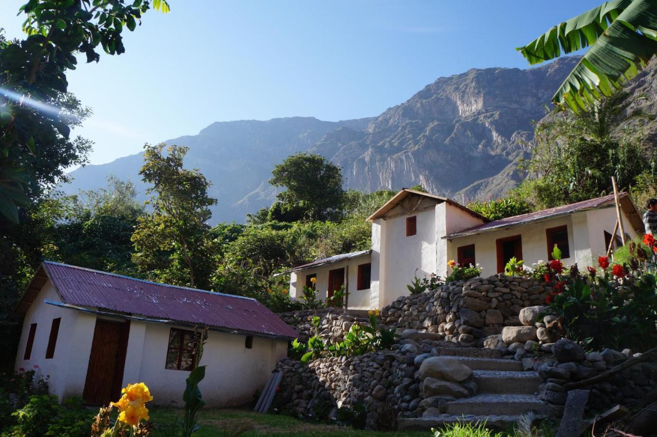 Paraiso Las Palmeras Lodge Cabanaconde Cameră foto