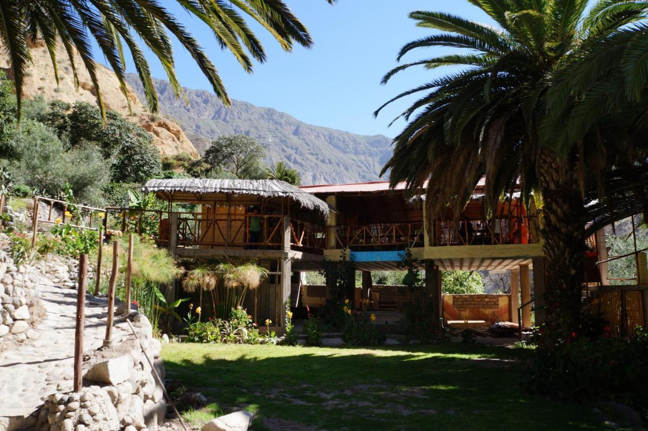 Paraiso Las Palmeras Lodge Cabanaconde Cameră foto